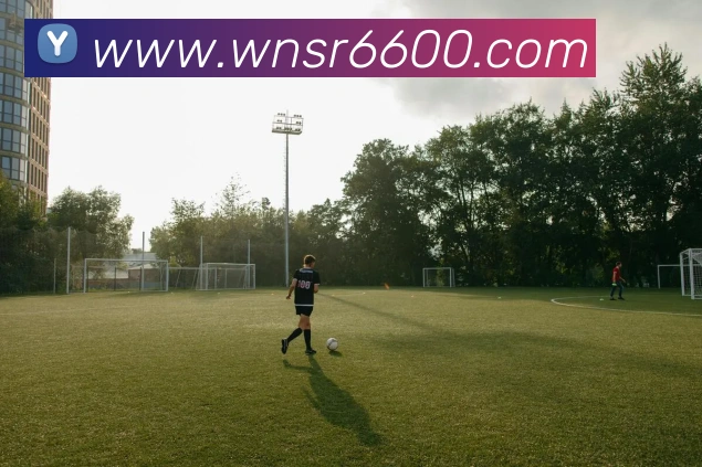 互动解说服务